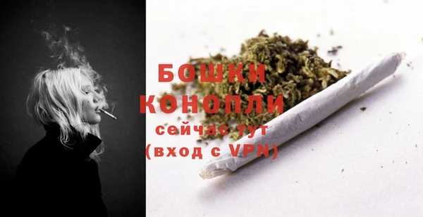 прущие грибы Наволоки