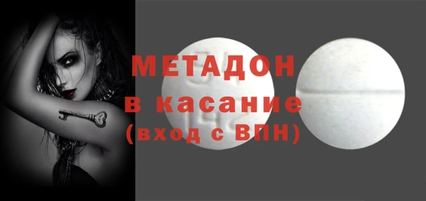 прущие грибы Наволоки