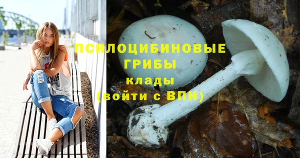 прущие грибы Наволоки