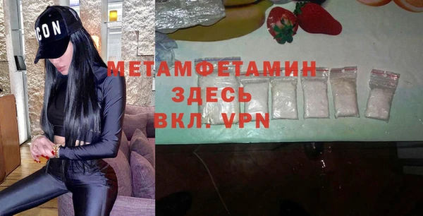 прущие грибы Наволоки